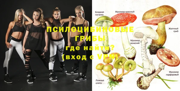 Альфа ПВП Балабаново