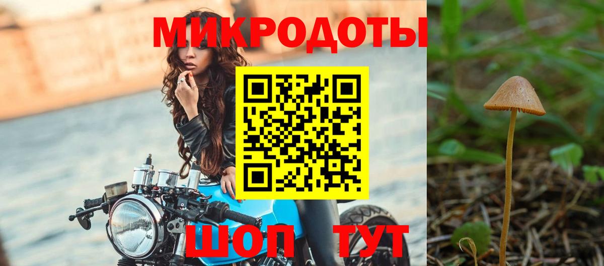 купить закладку  Вход с VPN  Унеча  Псилоцибиновые грибы Magic Shrooms 